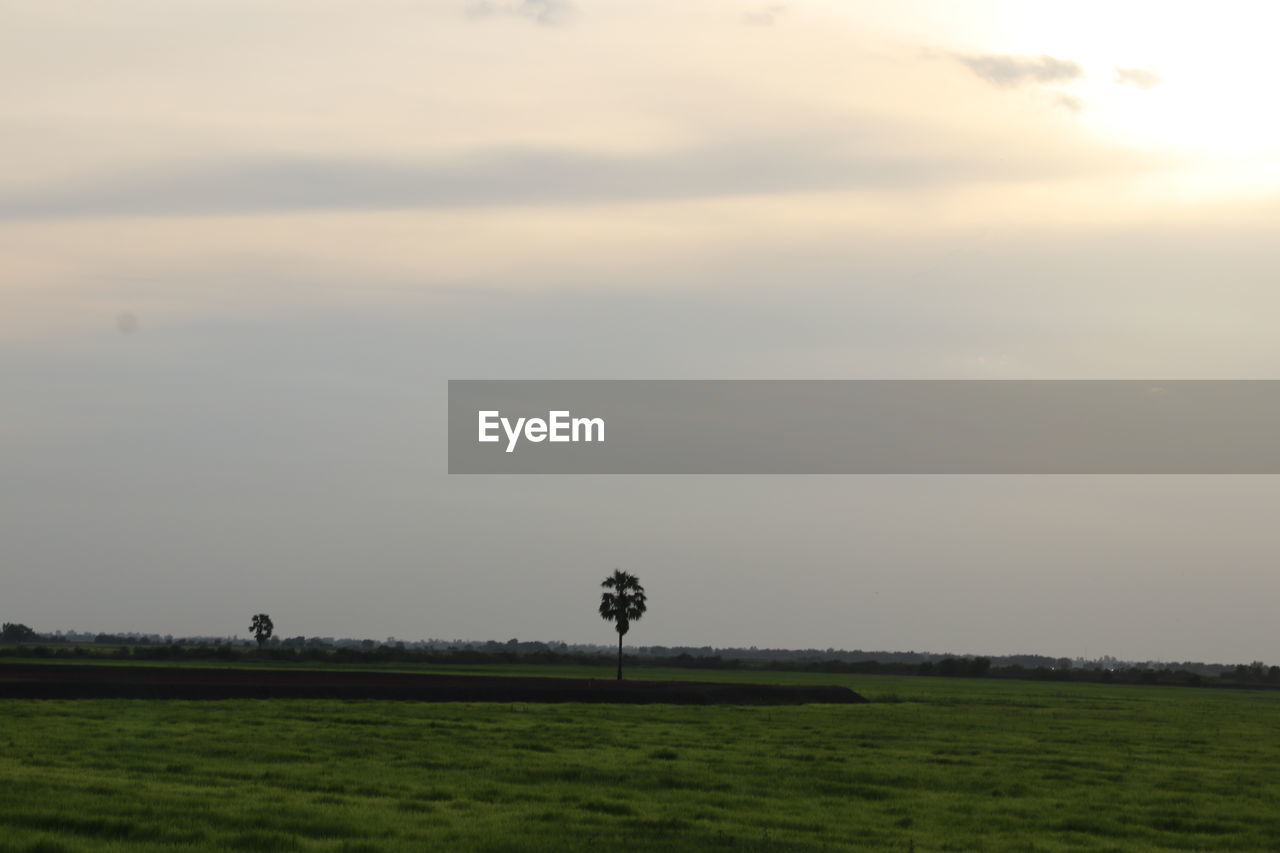 FIELD AGAINST SKY DURING SUNSET