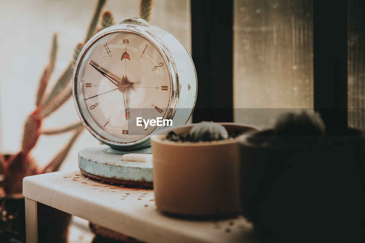 Close-up of alarm clock and potted plants on table