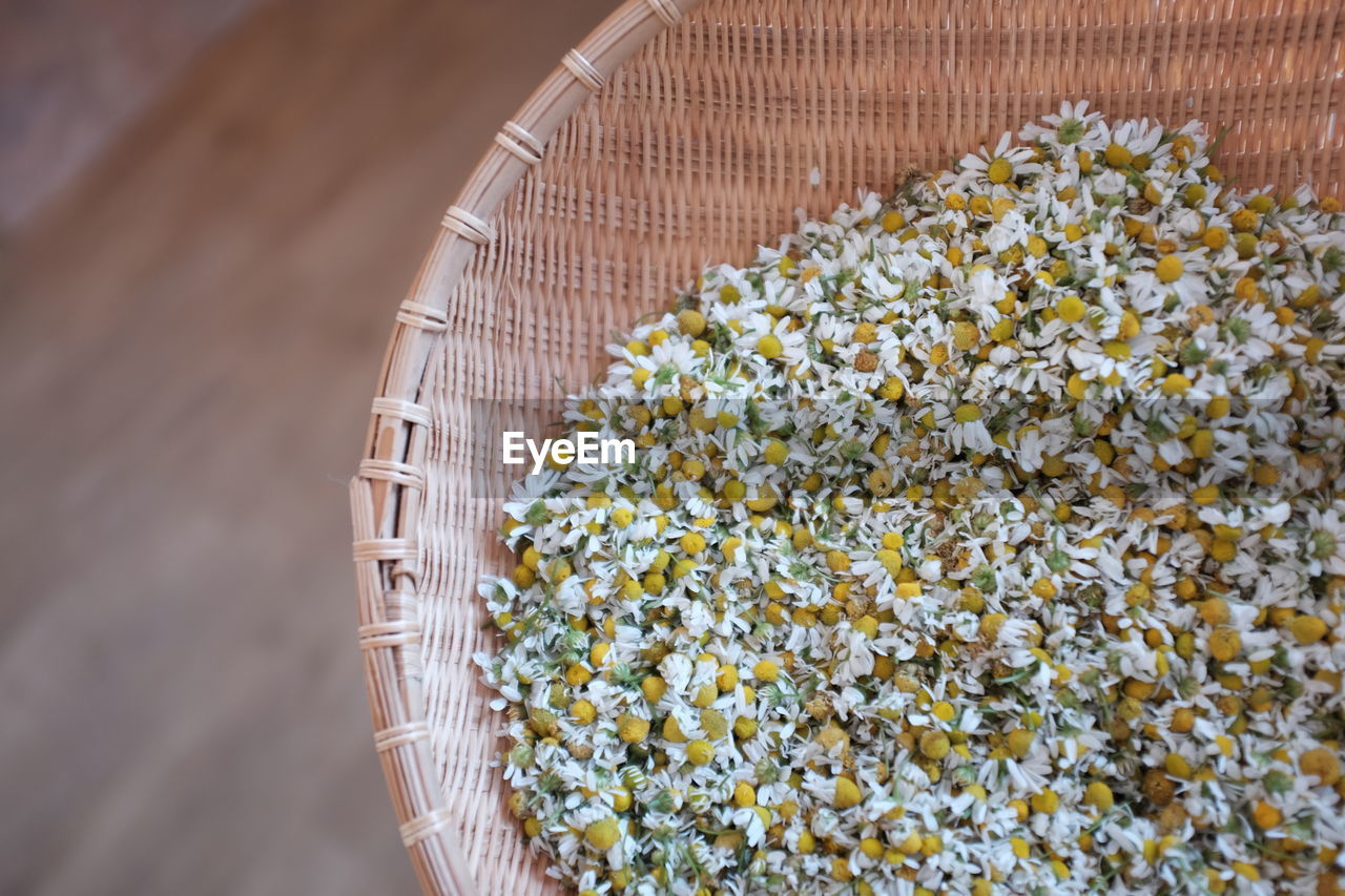 High angle view of flowers in basket