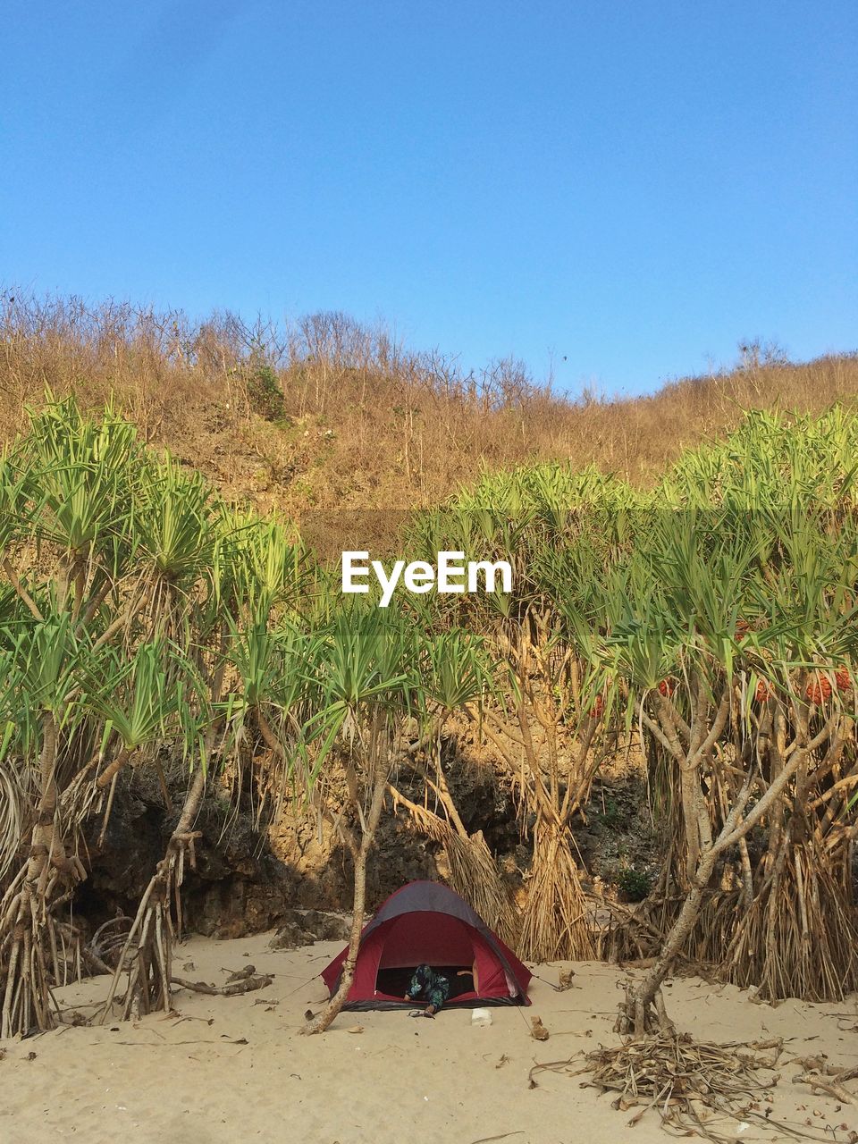 Scenic view of land against clear sky