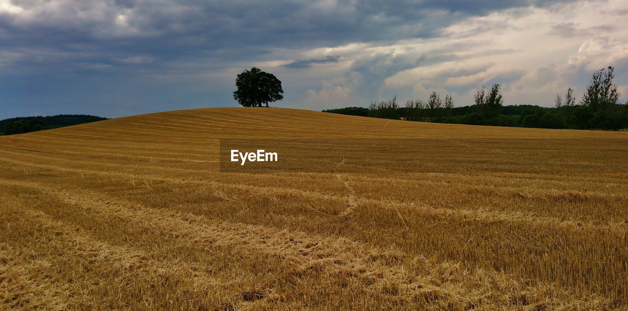 SCENIC VIEW OF FARMS AGAINST SKY