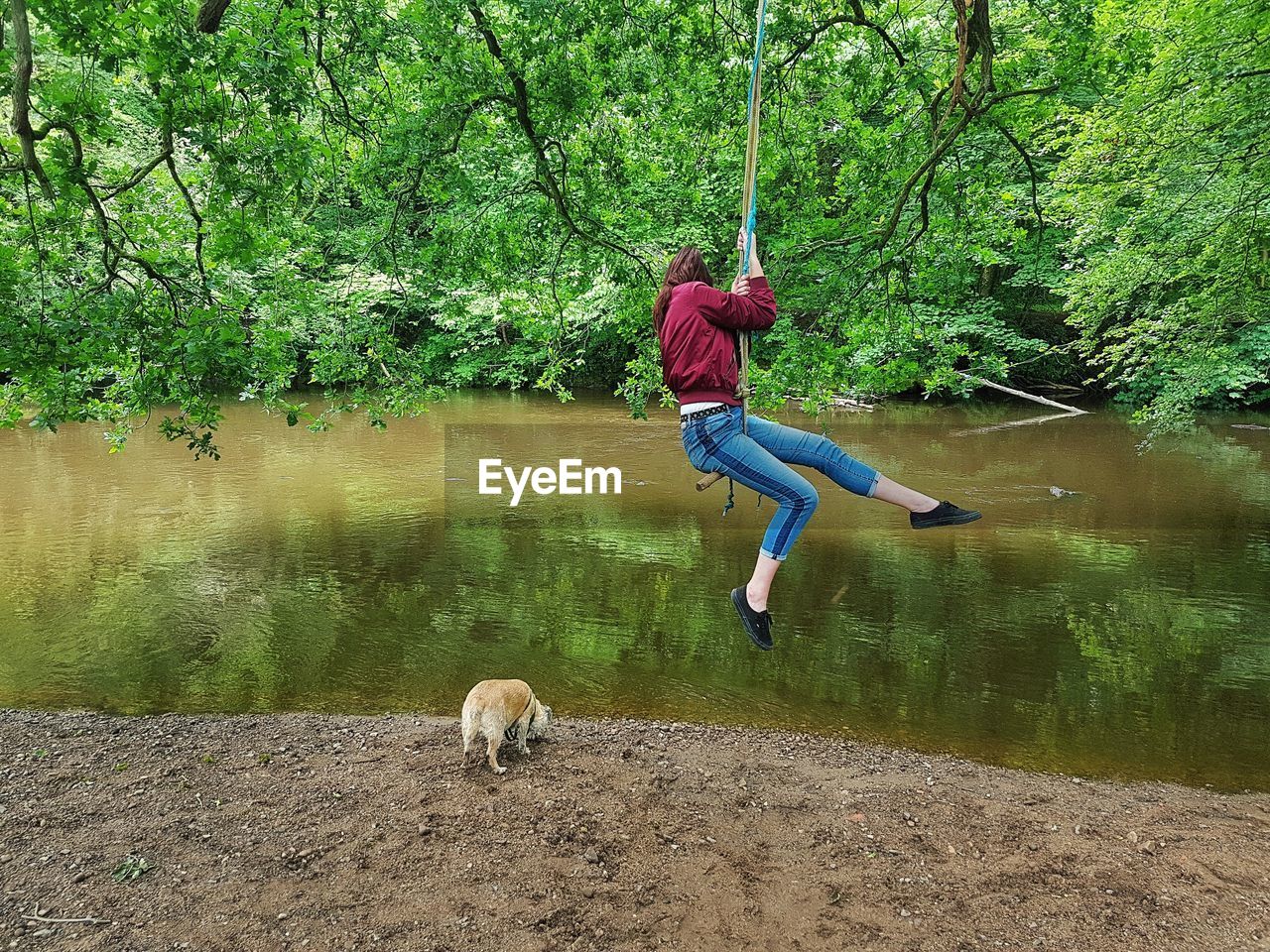 Young woman sitting on rope swing by pond