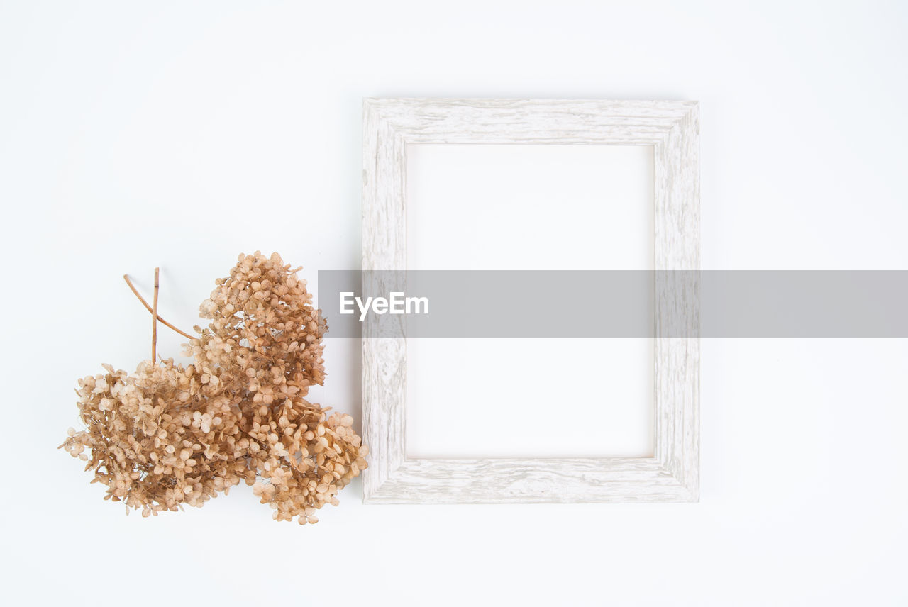 Close-up of flowers and frame over white background