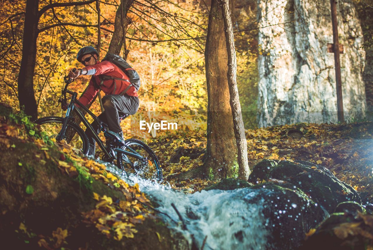 Low angle view of man riding bicycle by trees in forest during autumn