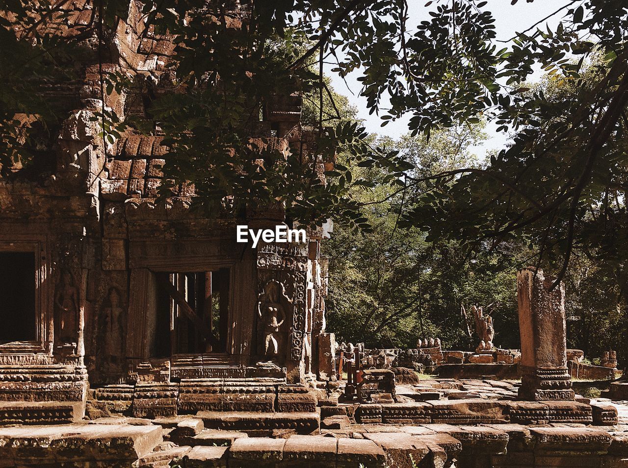 Branches against angkor wat temple