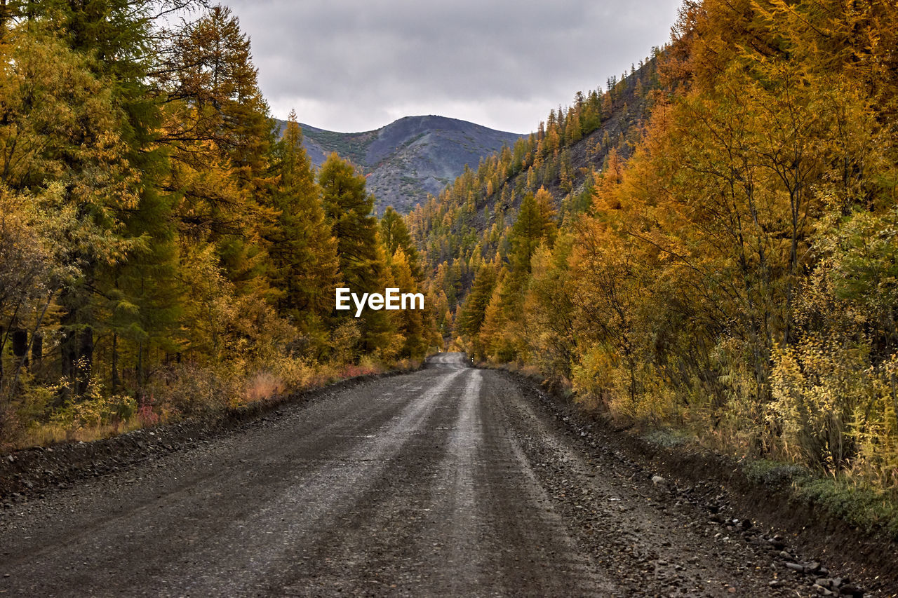 Road amidst trees against sky during autumn