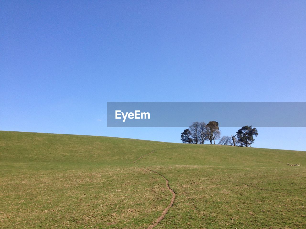 SCENIC VIEW OF FIELD AGAINST CLEAR BLUE SKY