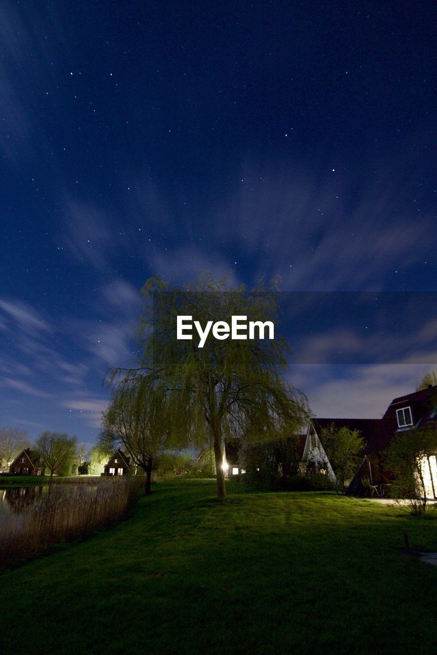 Trees against sky at night