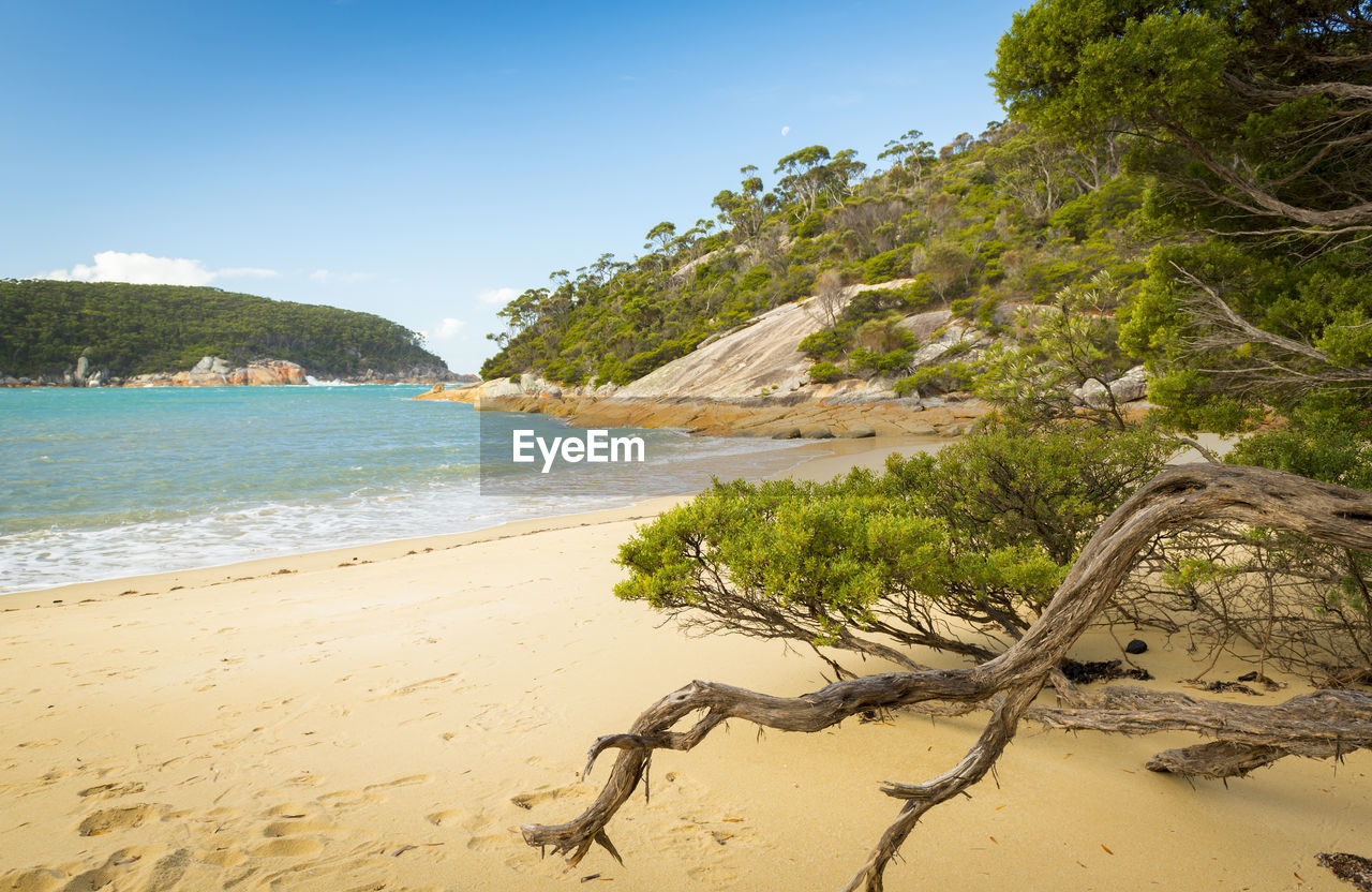 Scenic view of beach against sky