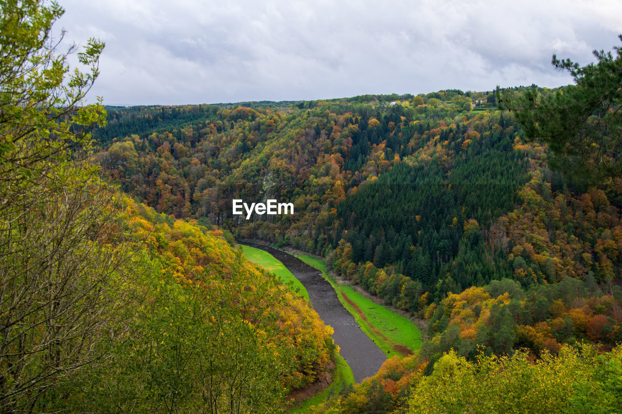 Scenic view of forest against sky during autumn