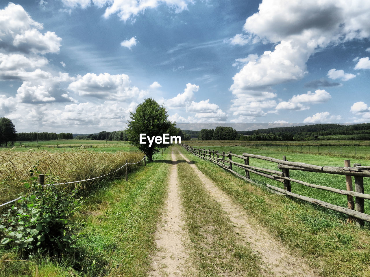 VIEW OF RURAL LANDSCAPE