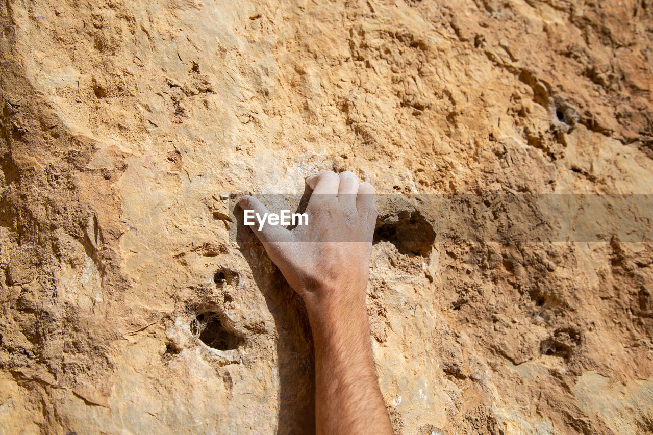 Close-up of hand on rock