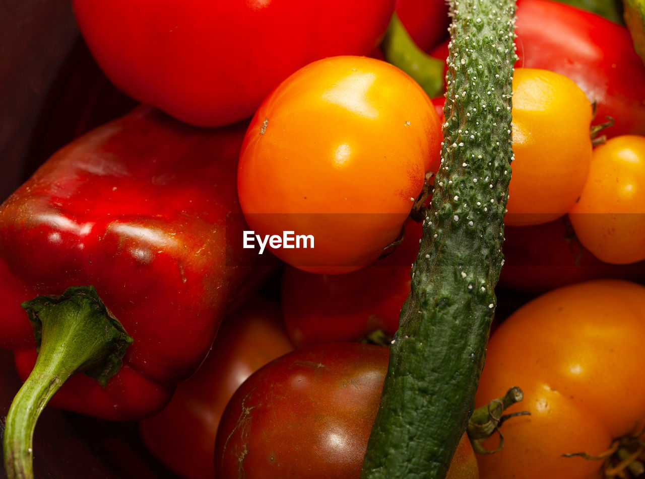 Close-up of tomatoes and bell pepper