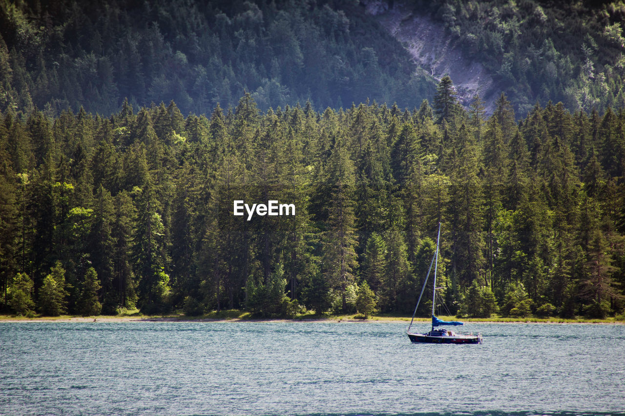 Scenic view of lake against trees in forest