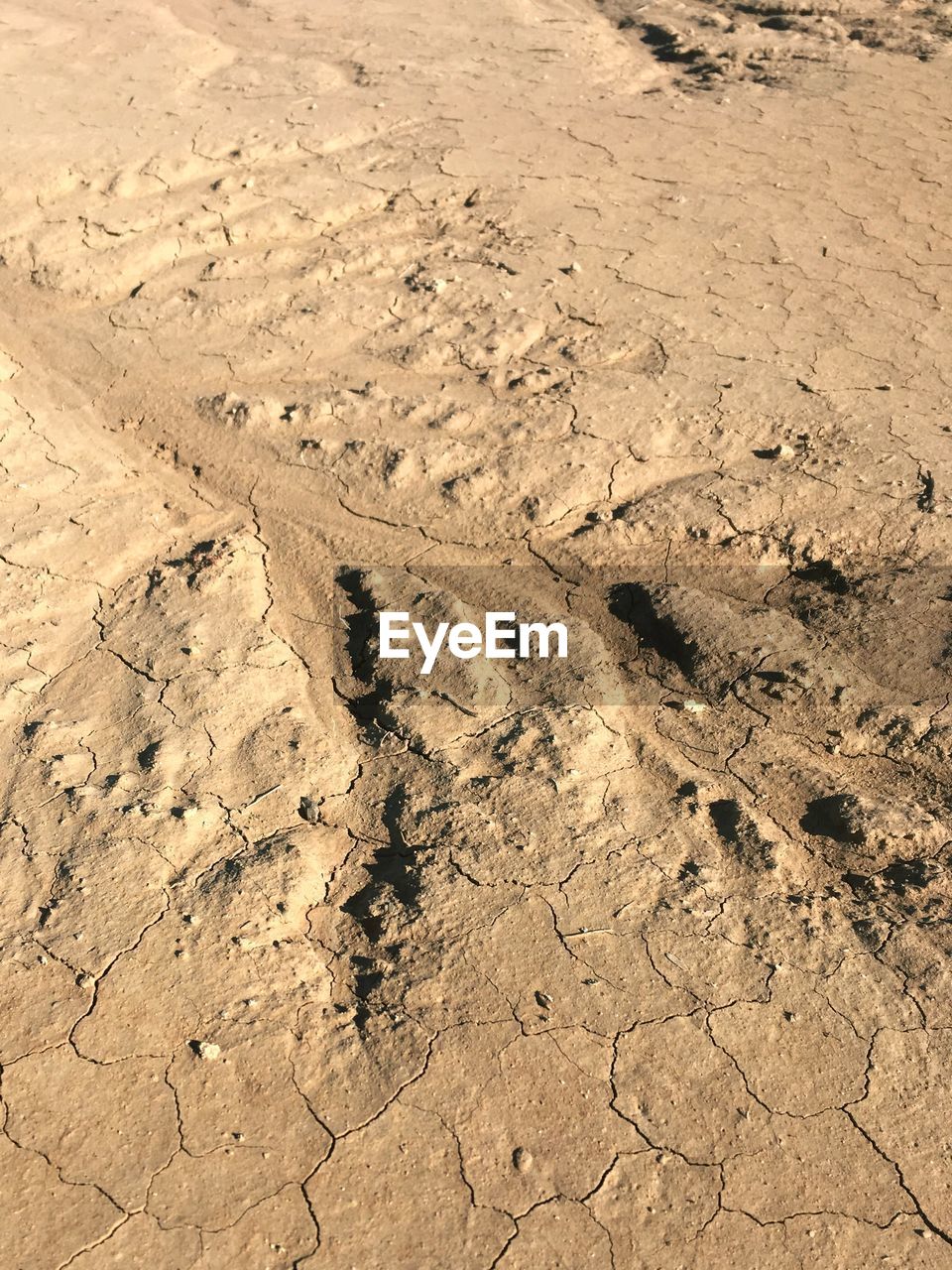 HIGH ANGLE VIEW OF TIRE TRACKS IN SAND