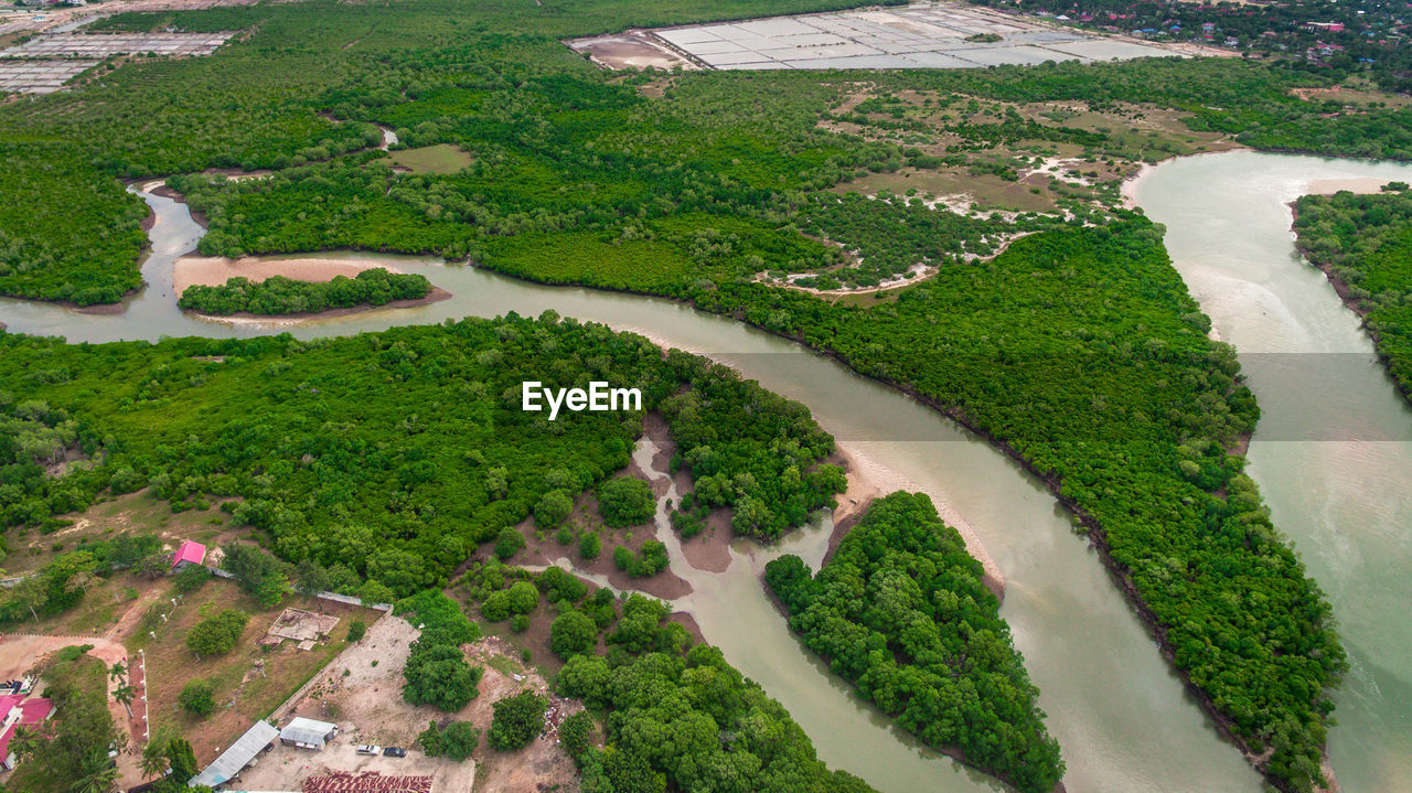 Aerial view of mangroves in dar es salaam