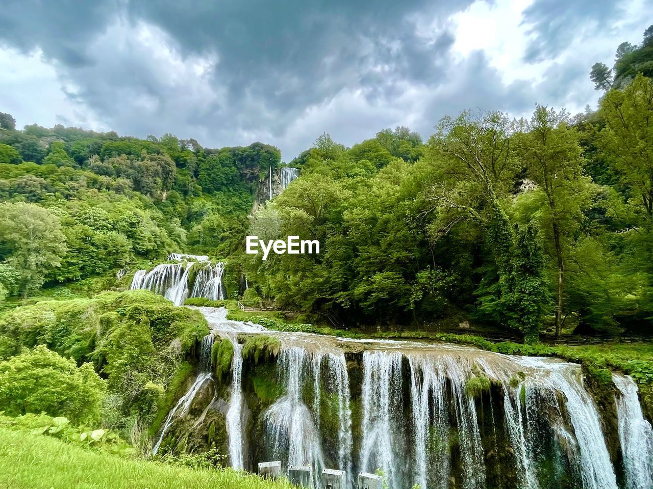 SCENIC VIEW OF WATERFALL AMIDST TREES IN FOREST