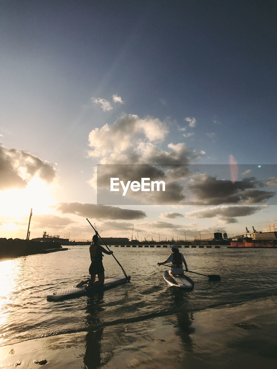 Rear view of friends paddleboarding on sea against sky during sunset