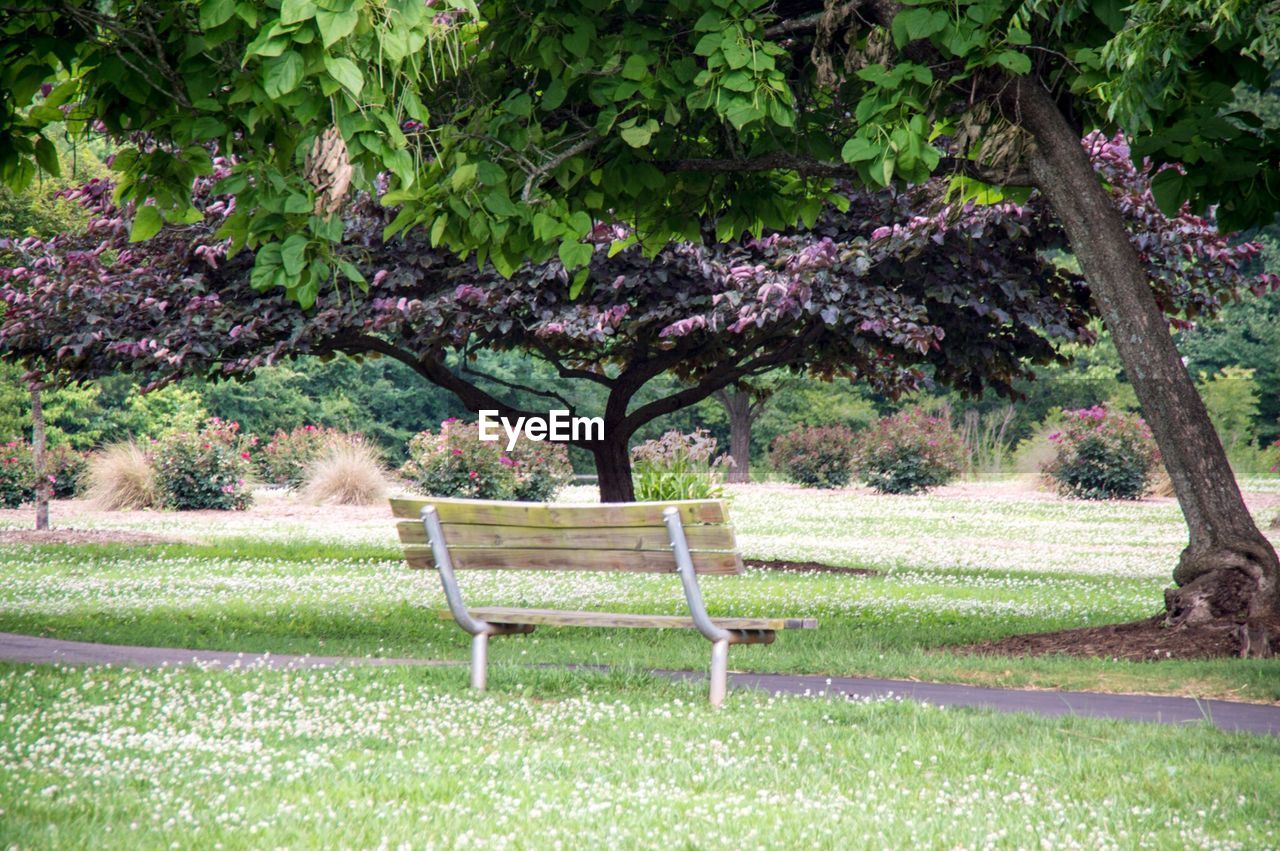 Rear view of empty bench on landscape against trees