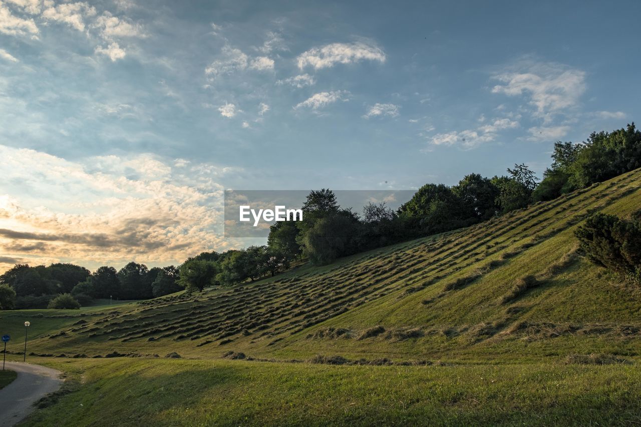 Scenic view of agricultural field against sky