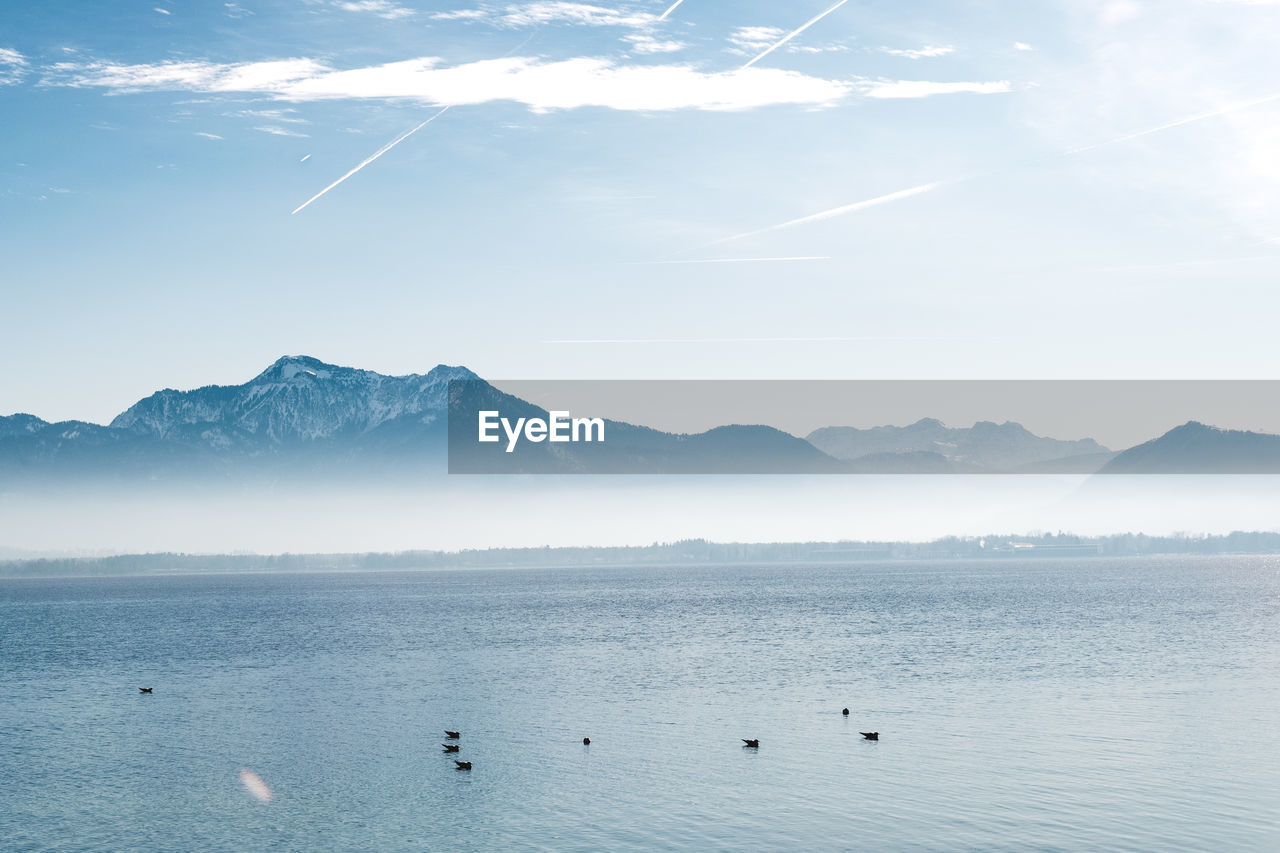 Birds swimming in mountains against sky