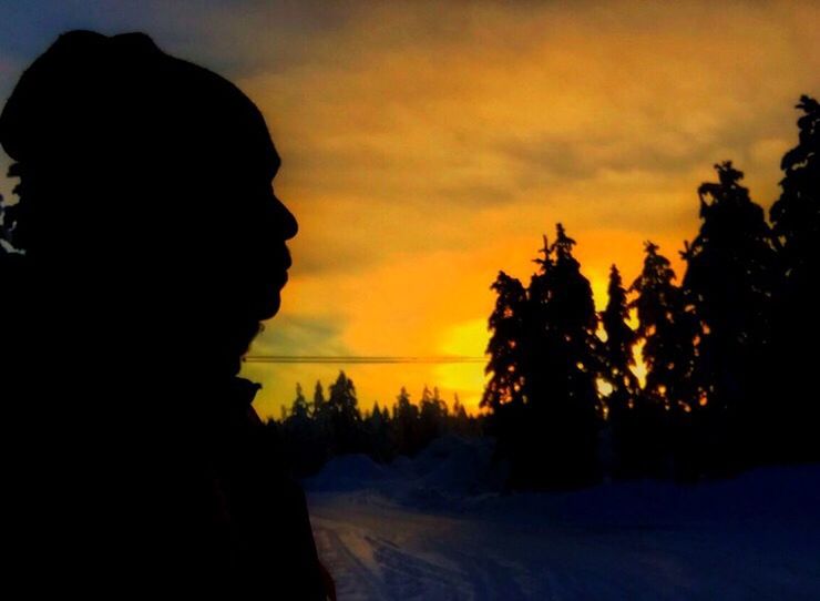 SILHOUETTE OF LANDSCAPE AT SUNSET