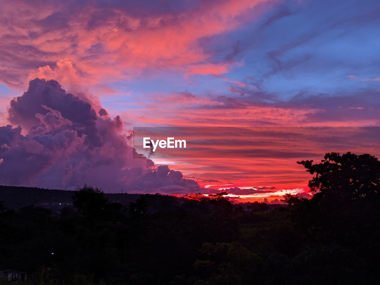 LOW ANGLE VIEW OF SILHOUETTE TREES AGAINST ROMANTIC SKY