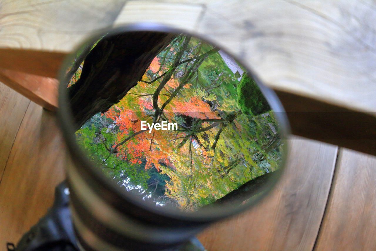 Close-up of trees reflecting in camera lens on wooden table