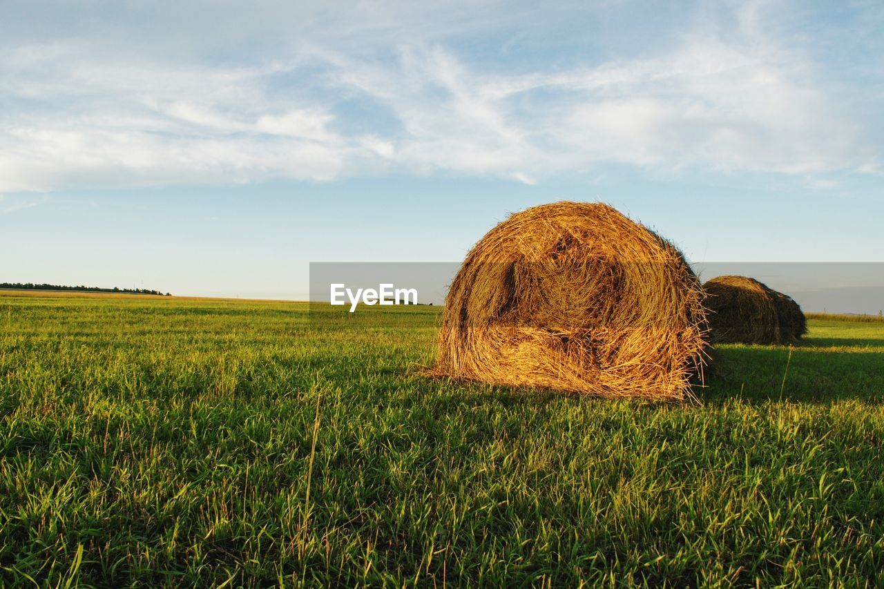 Green field with mown haystack against blue sky