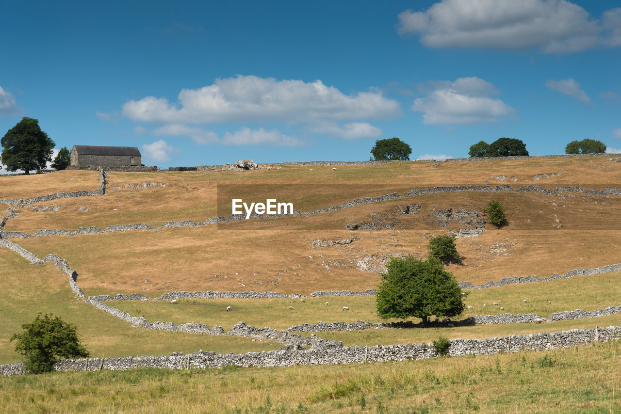 SCENIC VIEW OF FARM AGAINST SKY