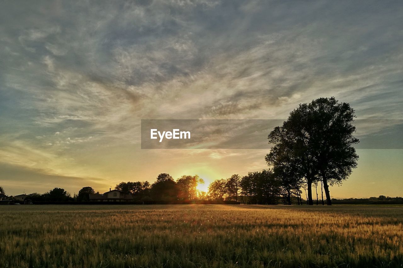 Scenic view of field against sky during sunset