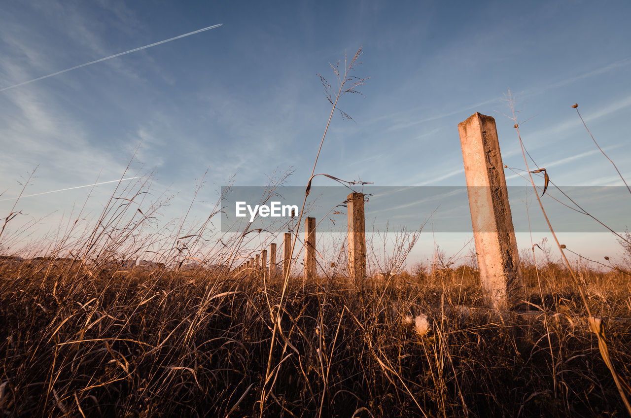 VIEW OF FIELD AGAINST SKY