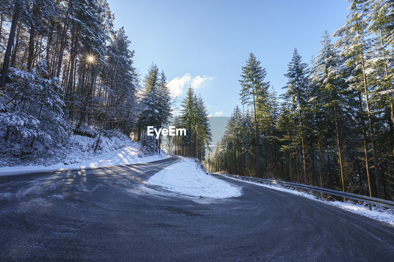 EMPTY ROAD AMIDST TREES DURING WINTER