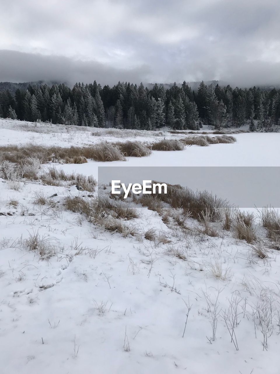 SNOW COVERED LAND AND TREES AGAINST SKY DURING WINTER