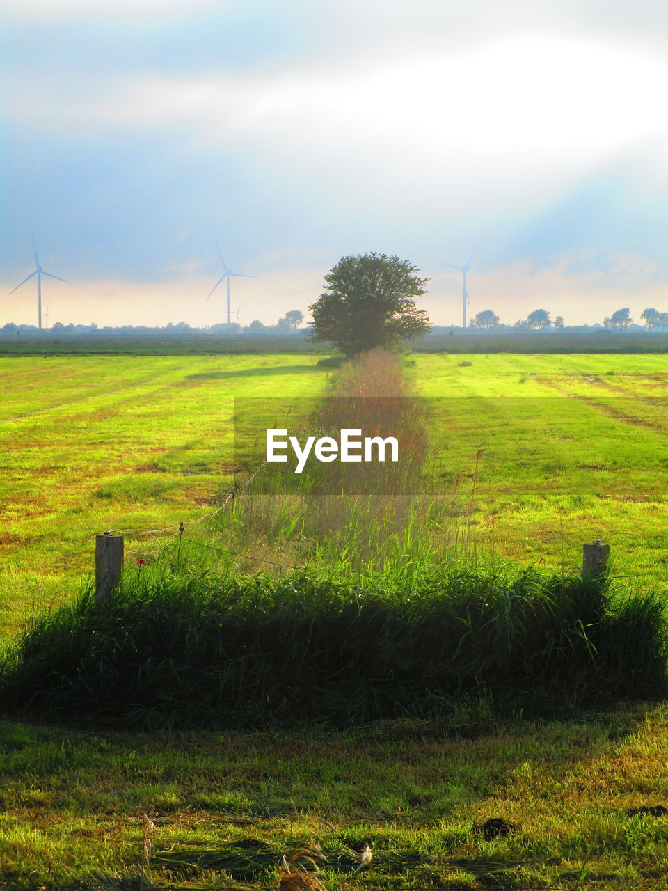 SCENIC VIEW OF FARM AGAINST SKY