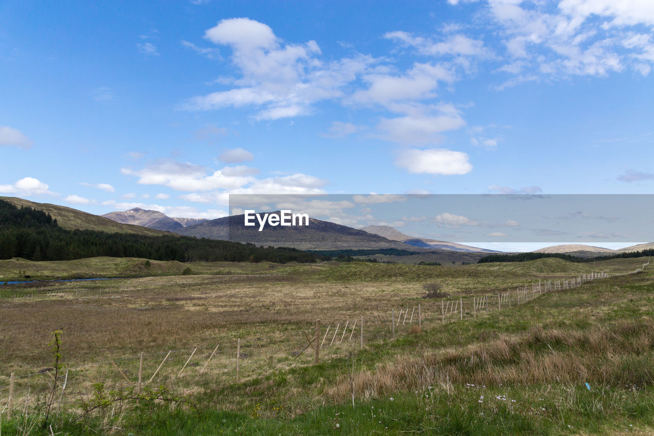 Scenic view of grassy landscape against sky