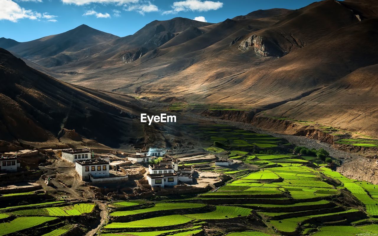 Scenic view of agricultural field and mountains against sky