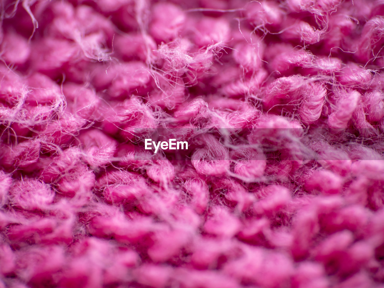 FULL FRAME SHOT OF PINK PETALS ON PURPLE FABRIC