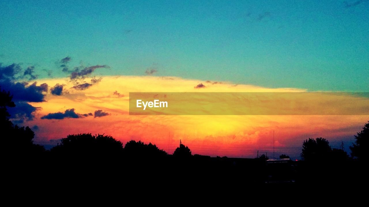 SILHOUETTE OF TREES AGAINST SKY AT SUNSET