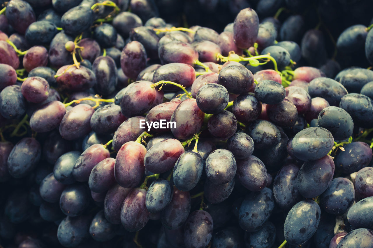 Detail shot of black grapes