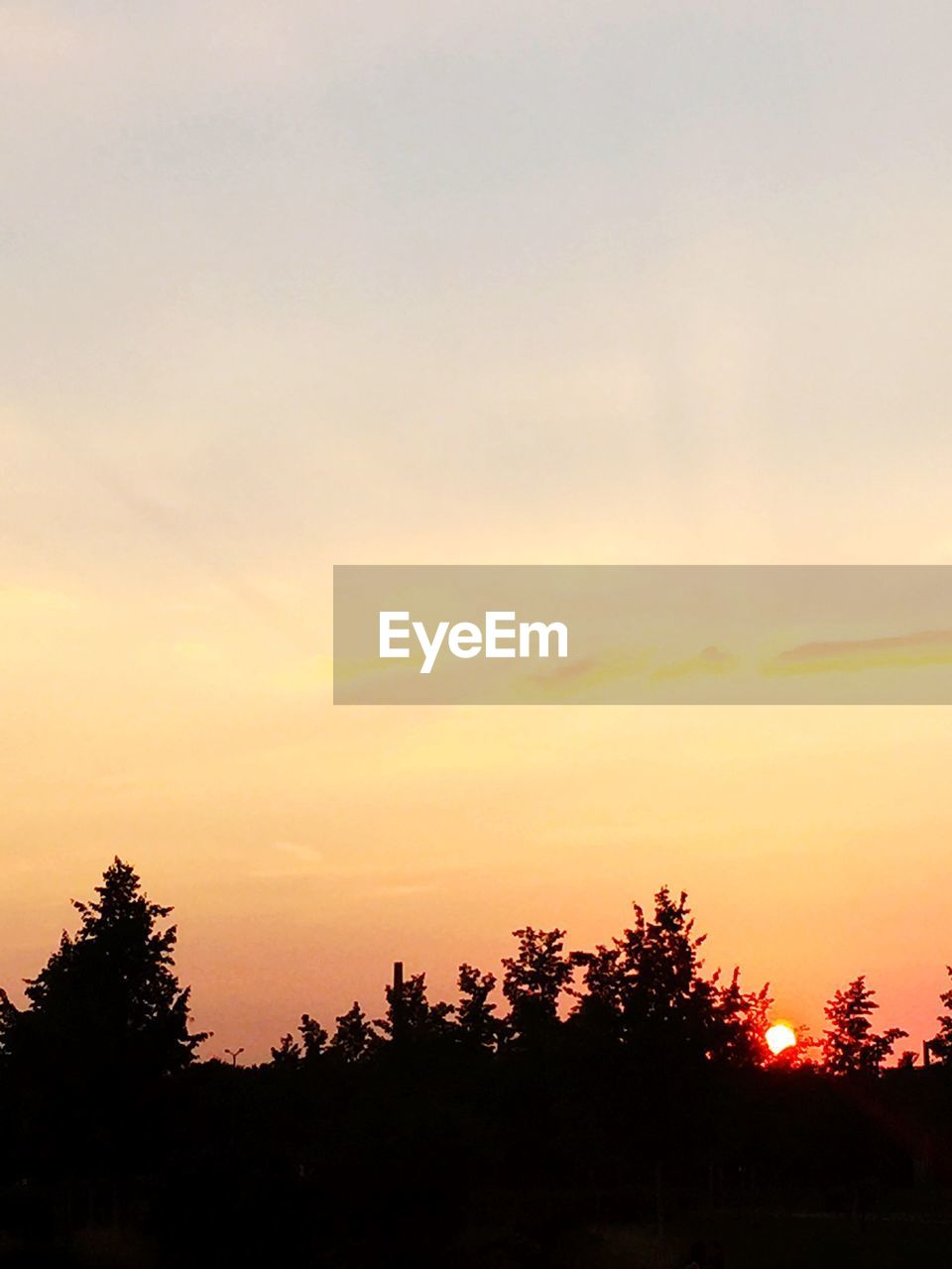SILHOUETTE OF TREES ON LANDSCAPE AT SUNSET