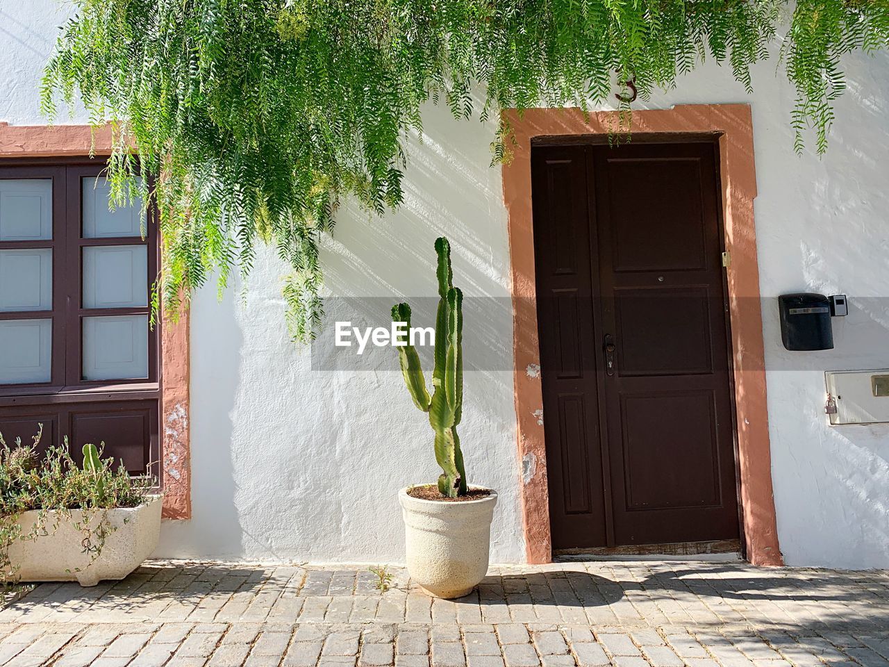 POTTED PLANTS OUTSIDE HOUSE