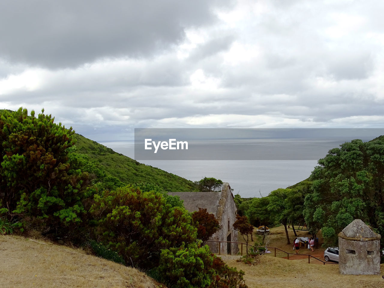 TREES AND SEA AGAINST SKY