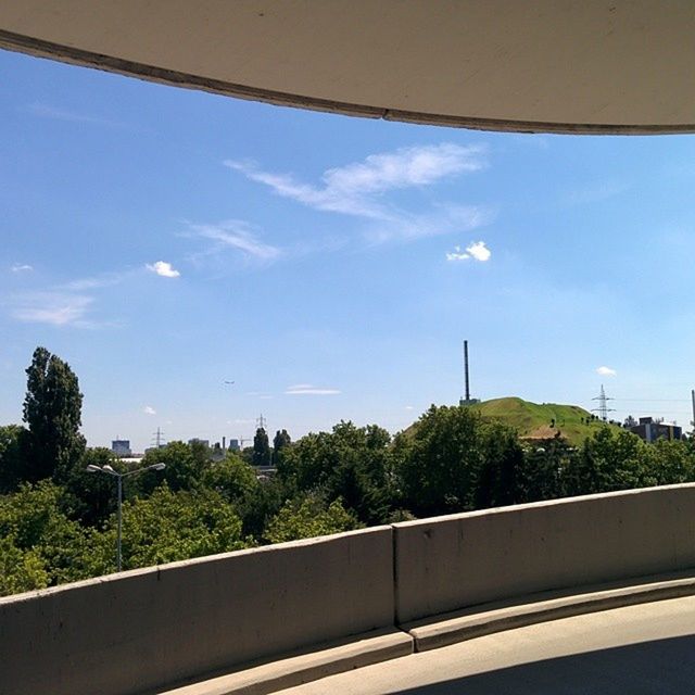 View of trees from building balcony