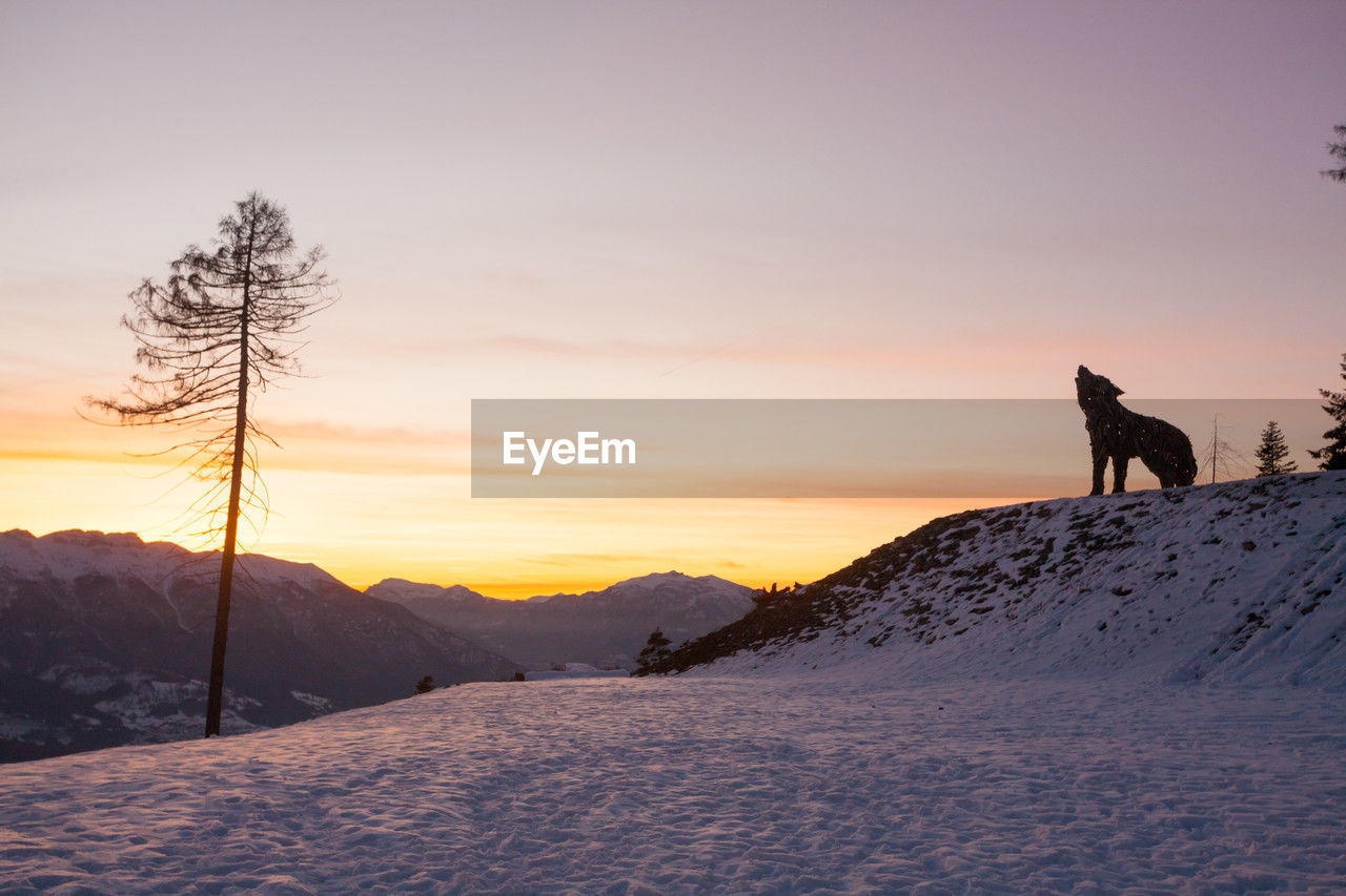 silhouette people walking on snow covered field against sky during sunset