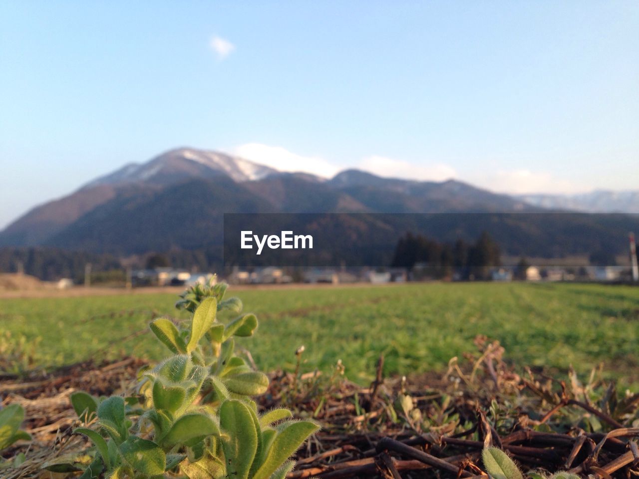 Scenic view of grassy field against cloudy sky