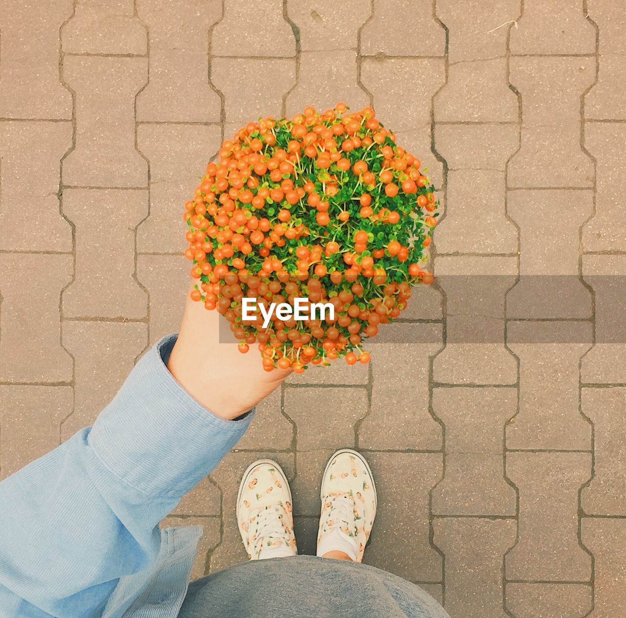 LOW SECTION OF PERSON STANDING ON ORANGE FLOWER