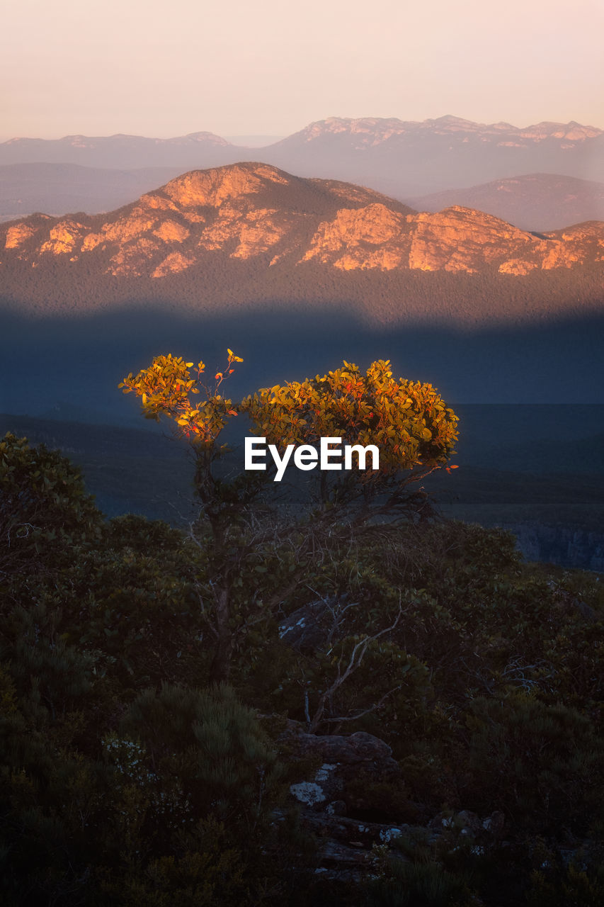 Grampians national park in the early morning from the top of mount williams