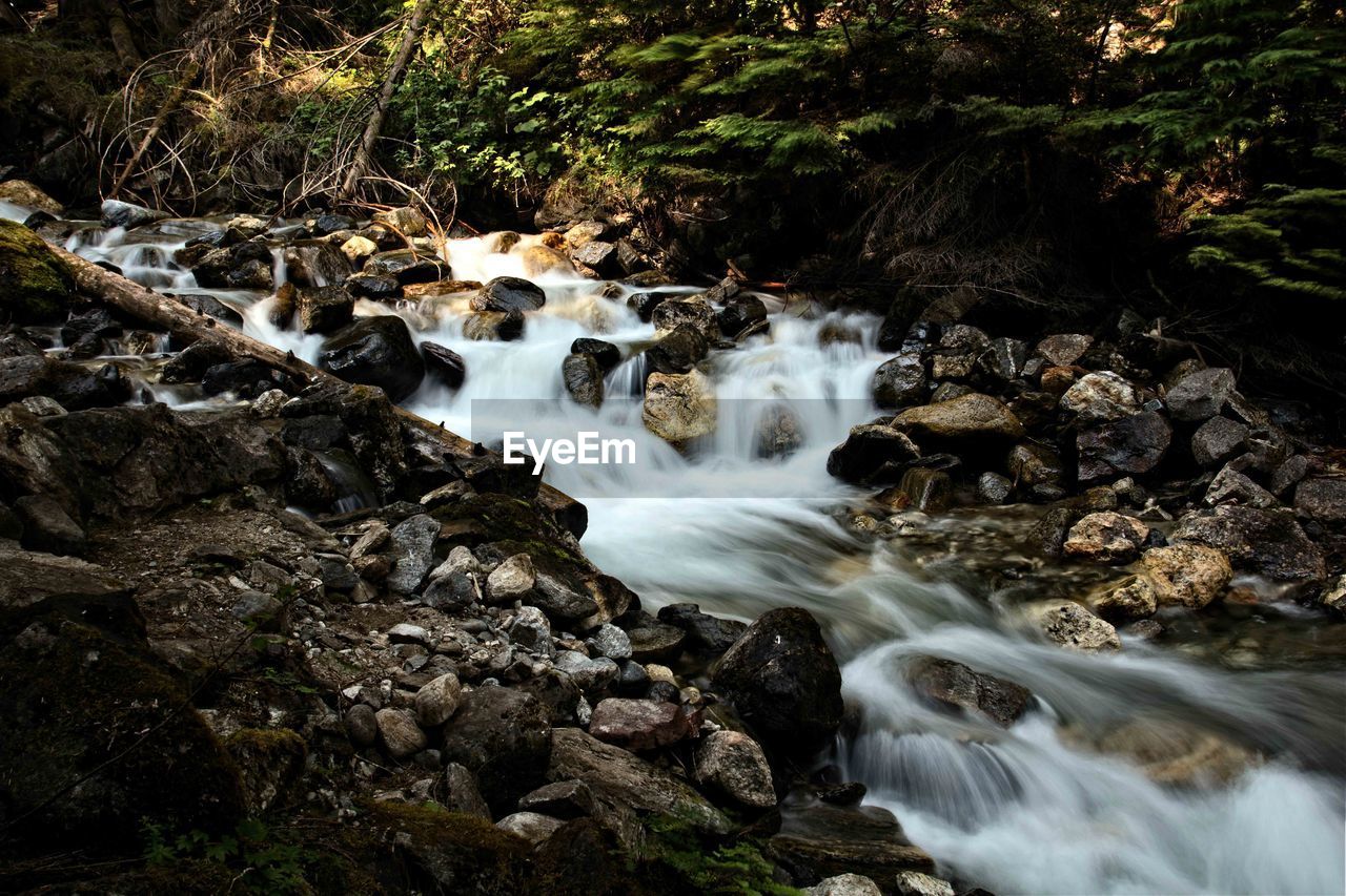 WATERFALL IN FOREST