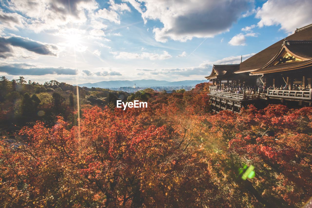 view of trees and buildings against sky